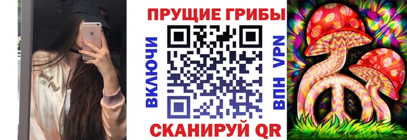 Псилоцибиновые грибы прущие грибы OMG зеркало Ак-Довурак где можно купить наркотик